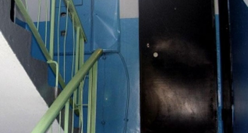 Злоумышленники подожгли мусор в воронежской многоэтажке