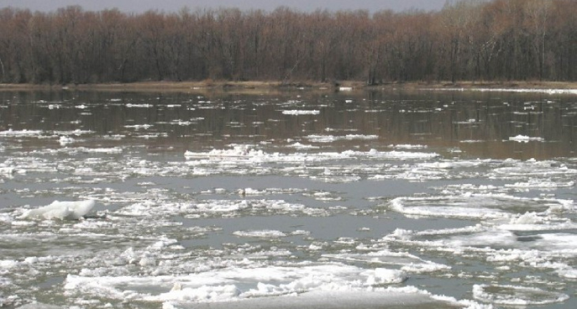 В Воронежской области утонул рыбак