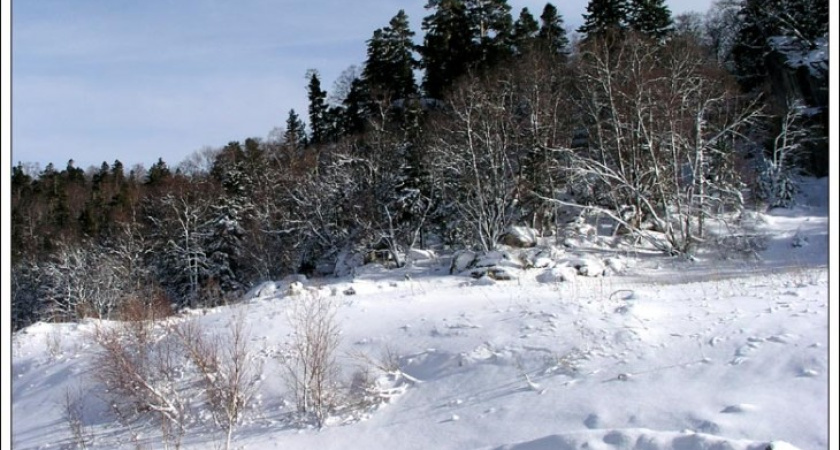 Чрезвычайная обстановка в Воронежской области спокойная