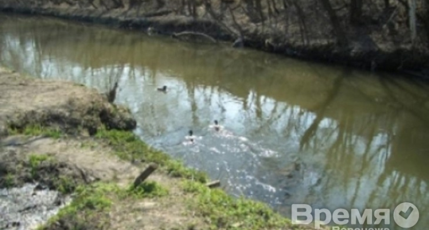 Аркадакский спиртзавод отравил аммиаком реку Хопёр