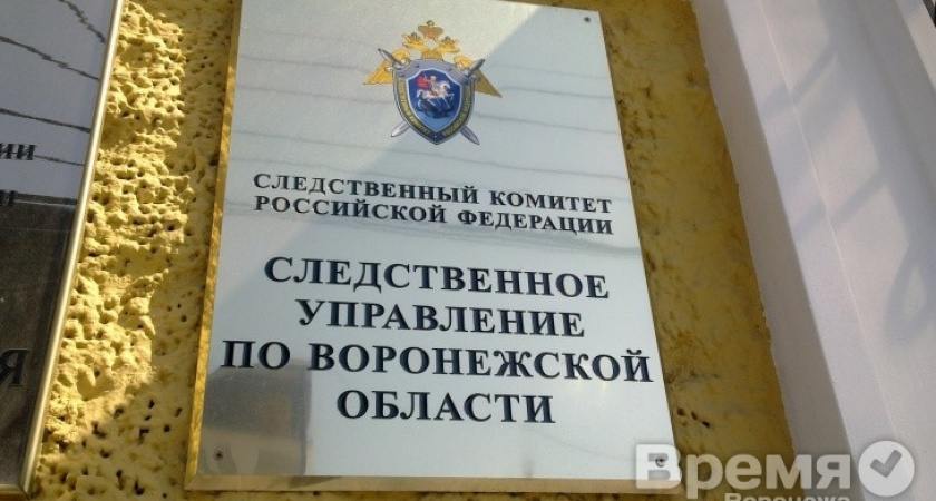 В Воронеже у оппозиционеров нашли наркотики и американские гранты на полмиллиона