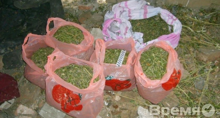 Под Воронежем наркотики прятали в клетке для кроликов