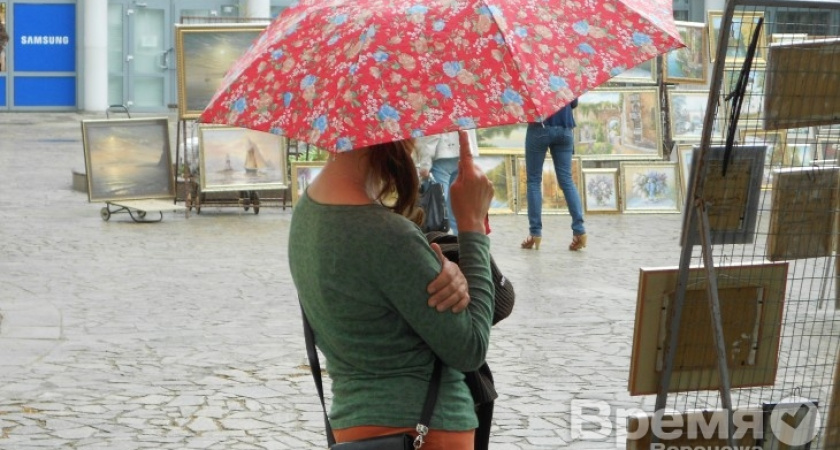 МЧС: На Воронеж идёт град с грозой и сильным ветром