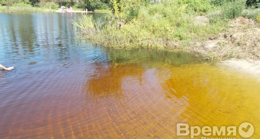 Санитарные врачи обнаружили кишечную инфекцию в реке Воронеж