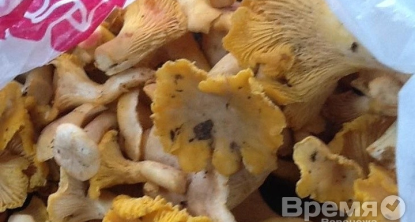 В Воронежской области уже семеро человек отравились грибами