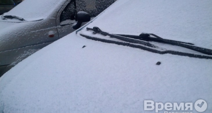 В Воронеже выпал первый снег