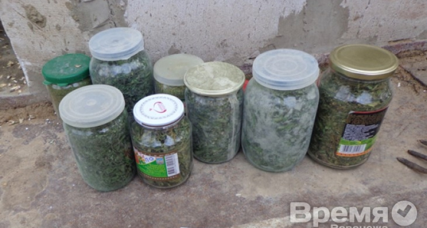 Воронежец «законсервировал» марихуану в стеклянные банки