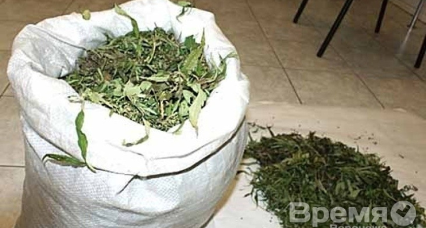 Воронежец выращивал коноплю на заброшенном поле