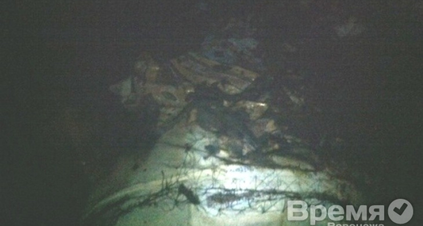 В Воронежском концертном зале загорелись декорации