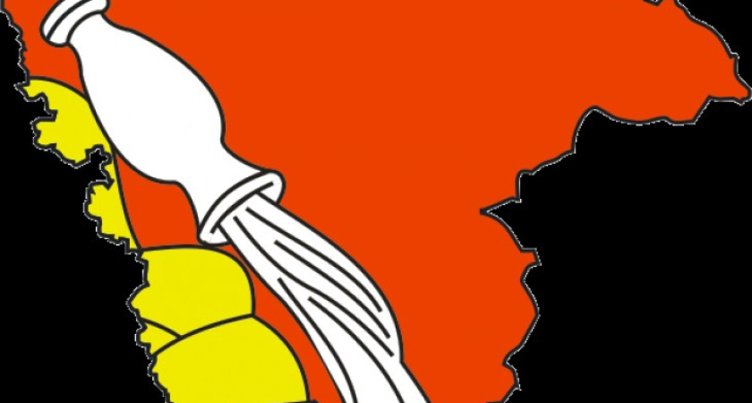 Минрегион поставил Воронежской области "неуд" за социалку