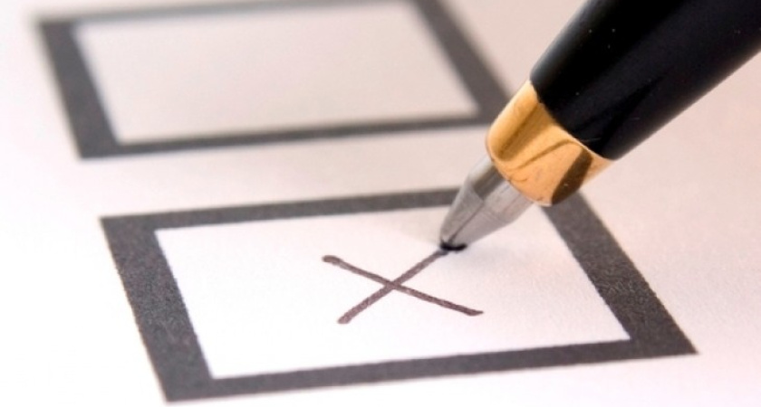 Воронежские партийцы договорились о «честных выборах»