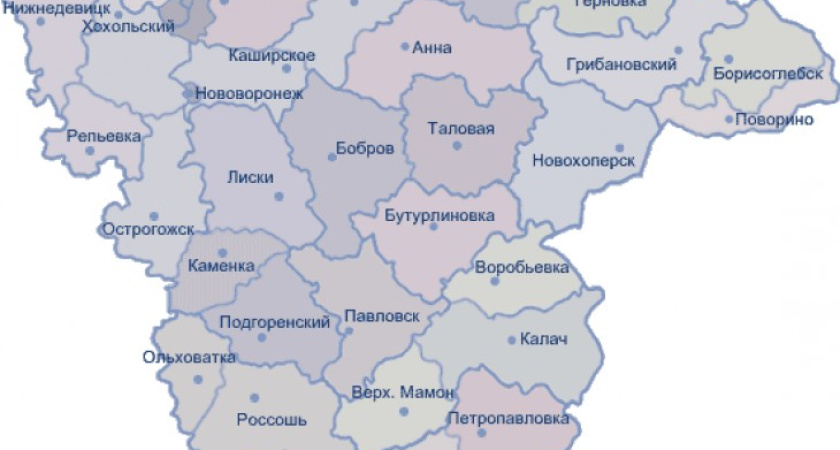 В Воронежской области укрупнения районов не будет