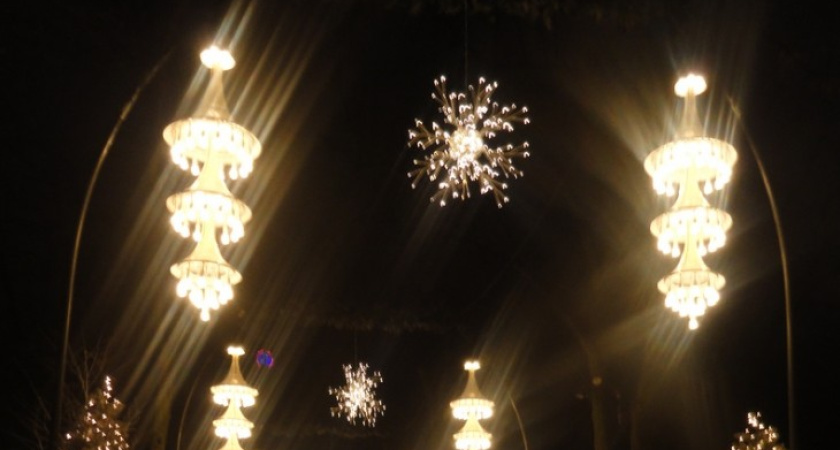 Во всех населенных пунктах Воронежской области в I квартале будет уличное освещение