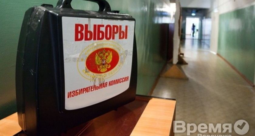 Парадокс: на воронежских выборах кандидаты бедны как церковные мыши, но легко позволяют себе миллионные расходы на кампании