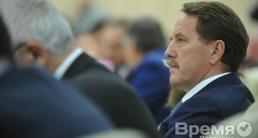 Нужны ли Воронежу лидеры кроме Алексея Гордеева?