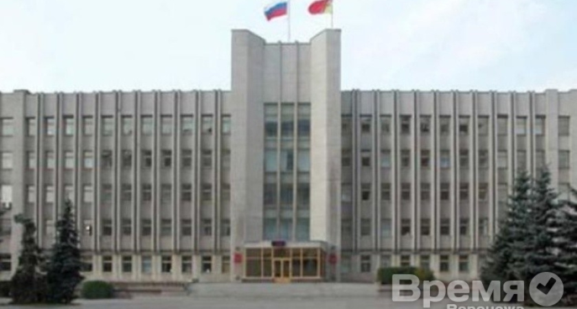 Выборы воронежского губернатора пройдут сквозь думу