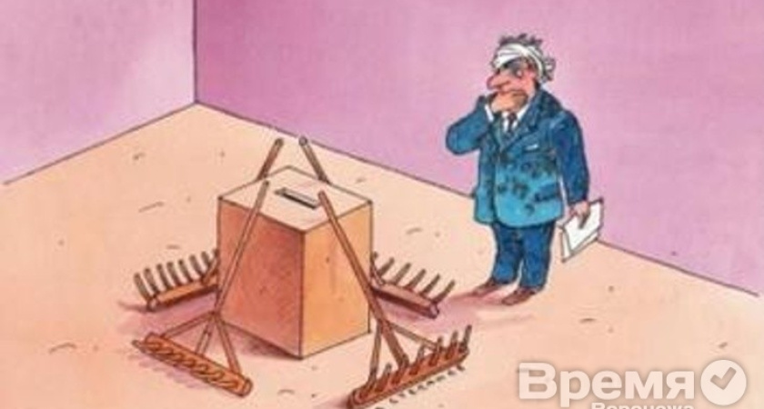 Выборы в Воронежской области пока отсутствуют