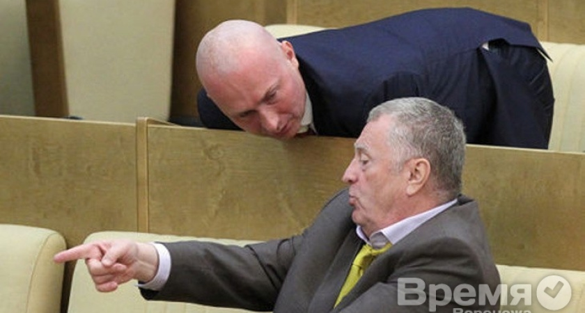 Коллективный мозг воронежской ЛДПР отстаёт от остальных партий