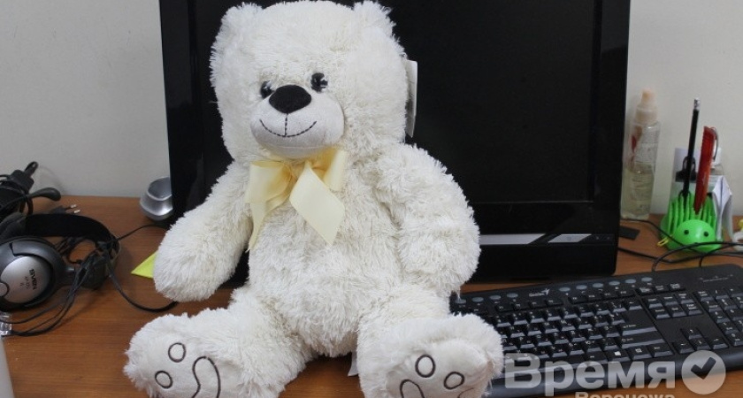 «Единая Россия» наградила интернет-газету «Время Воронежа»