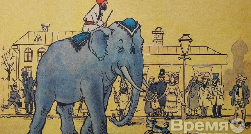 В Семилуках конкурс между «слоном» и «моськами»?