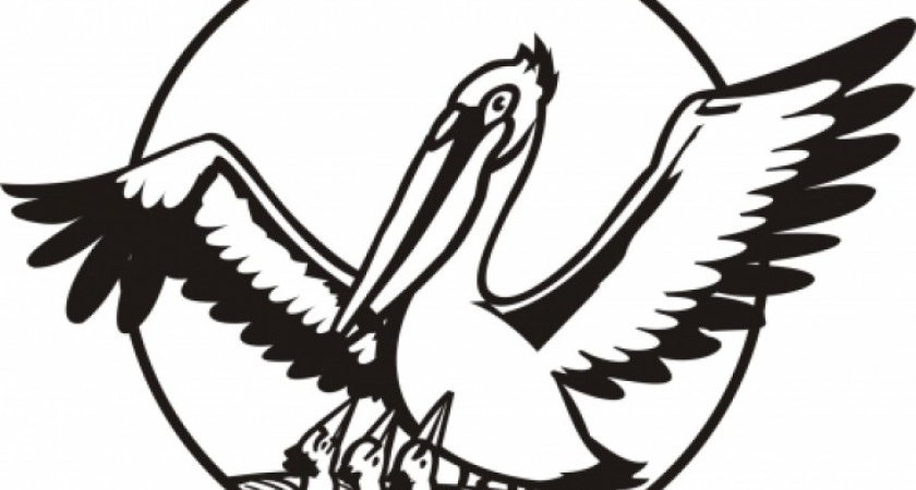 На конкурсе «Учителем года» нашу область представит педагог воронежской гимназии №6