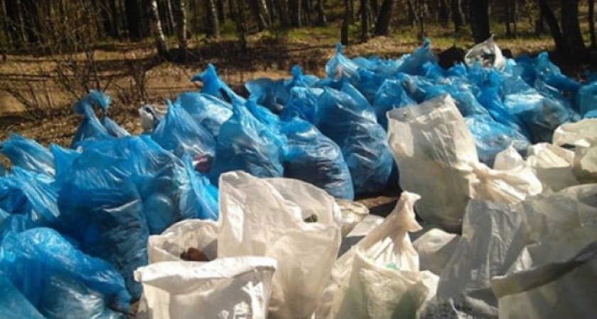 Воронеж объявляет войну мусору