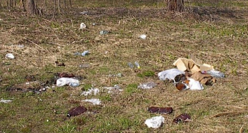 Место посадки инопланетян в Воронеже приведут в порядок