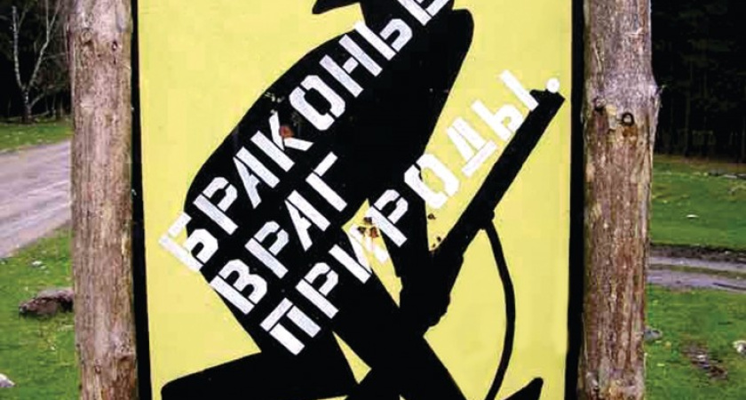 По Воронежской области рыскают браконьеры