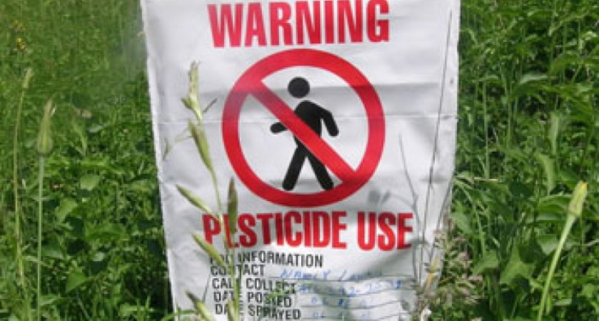 Прокуратура разбирается с незаконной свалкой химикатов в Поворинском районе