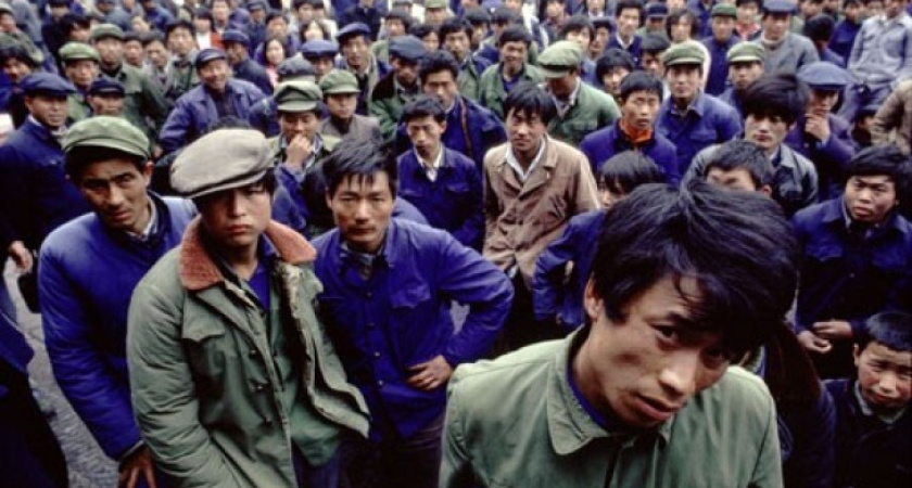 Мигранты полюбили Воронежскую область