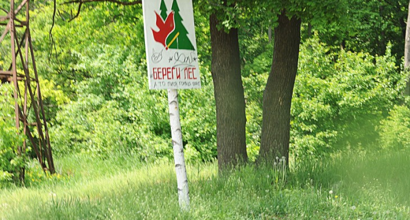 «Зеленая» горячая линия появится в Воронеже