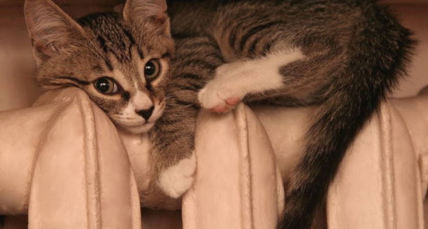 Воронежская область провела отопительный сезон на "тройку"