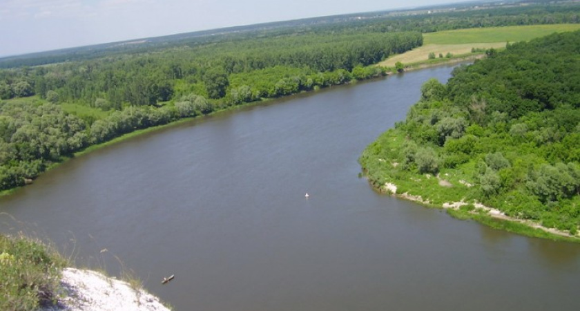В Воронежской области построят новый мост через Дон