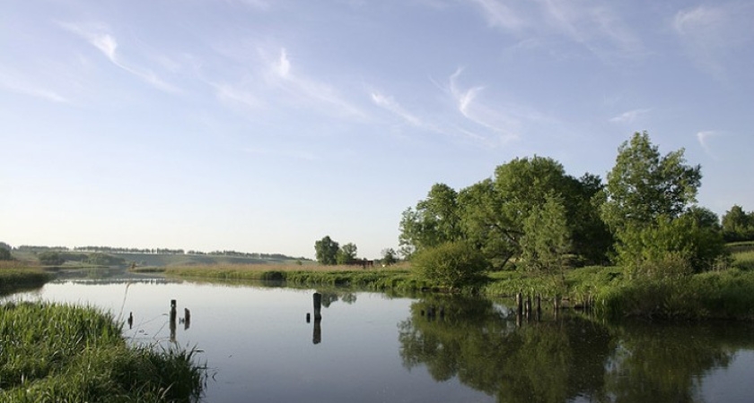 Экологи высоко оценили Воронежскую область