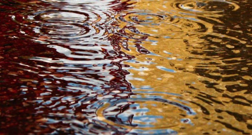 Воронеж простился с солнцем на неделю