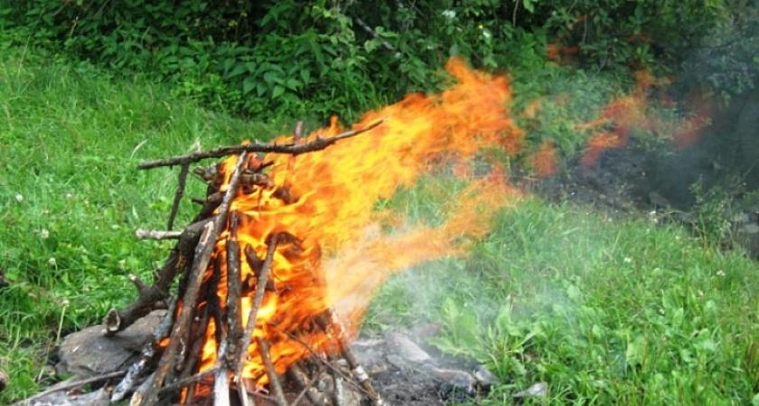 В Воронежской области введен особый противопожарный режим