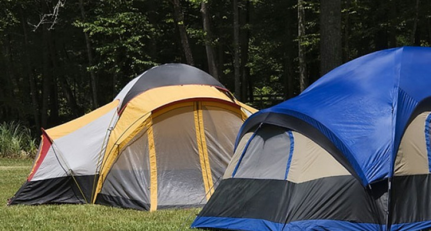 В Воронежской области проводятся сборы юных инспекторов движения