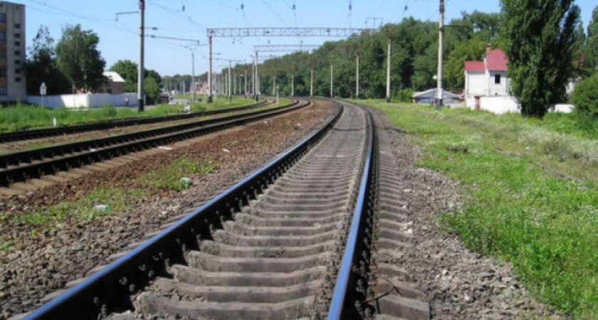 Пьяные воронежцы не дают спокойно работать транспортной полиции