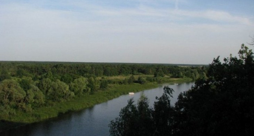 На Чертовицком пляже дети несколько часов плавали с утопленником