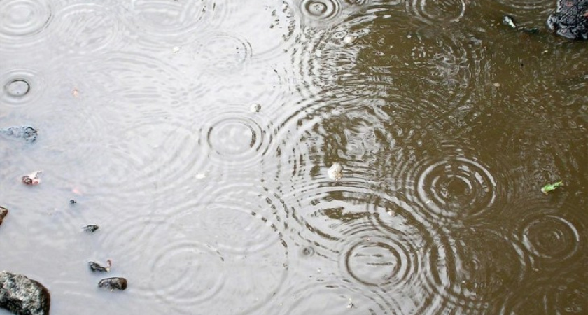 Подгоняемые мэром и губернатором, воронежские дорожники кладут асфальт прямо в лужи