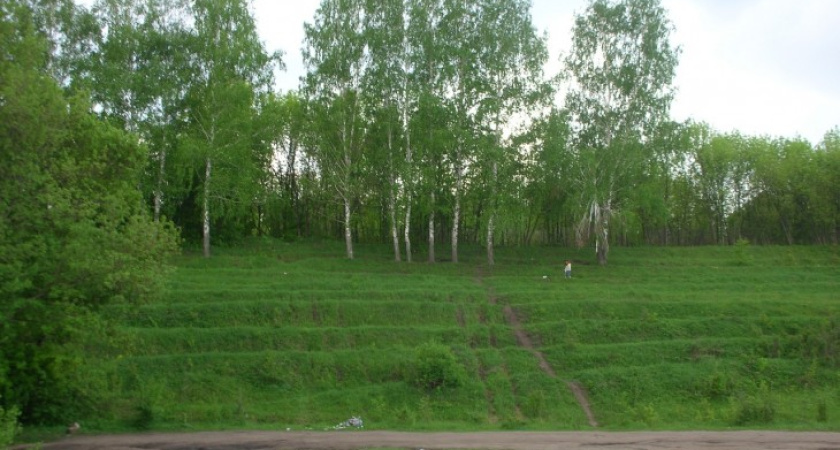 Новые имена воронежским паркам выбирают пенсионеры