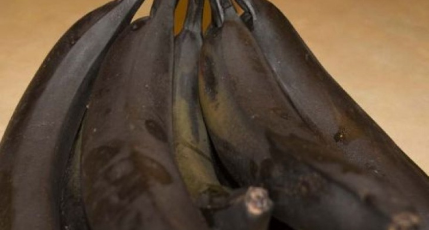 В Воронежской области детей на летнем отдыхе хотели накормить гнилыми бананами и апельсинами