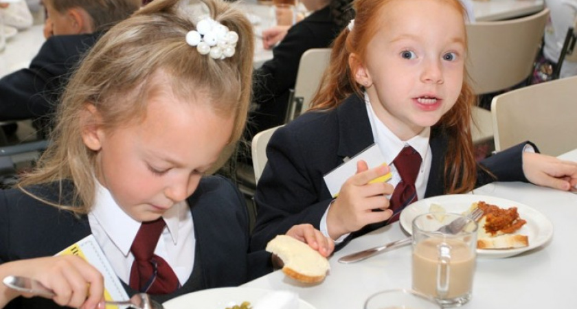 Комбинат, кормящий воронежских школьников, подозревается в присвоении почти миллиона рублей