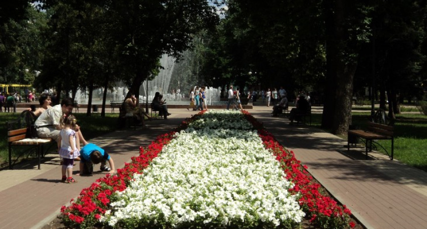 Треть воронежцев не собирается летом в отпуск