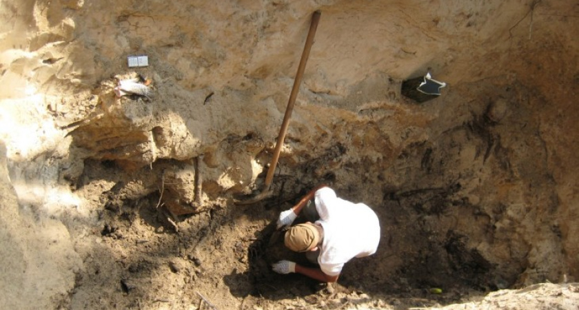 Из расстрельных ям под Воронежем подняты останки 170 жертв политических репрессий