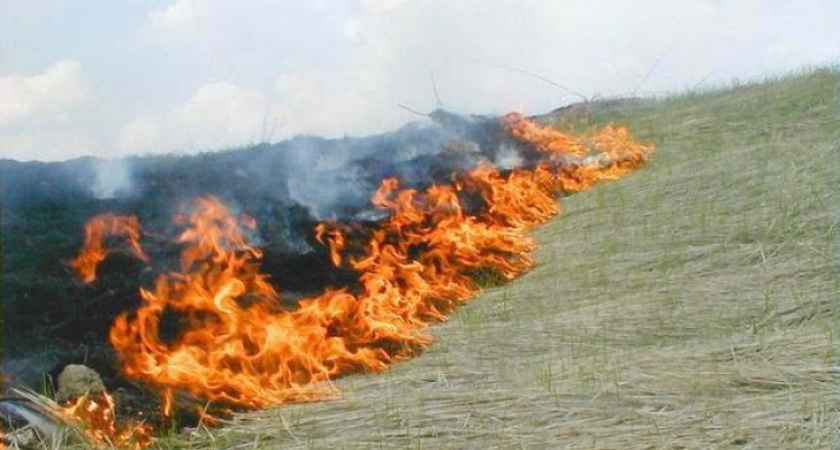 Из-за аномальной жары по Воронежской области вспыхивают природные пожары