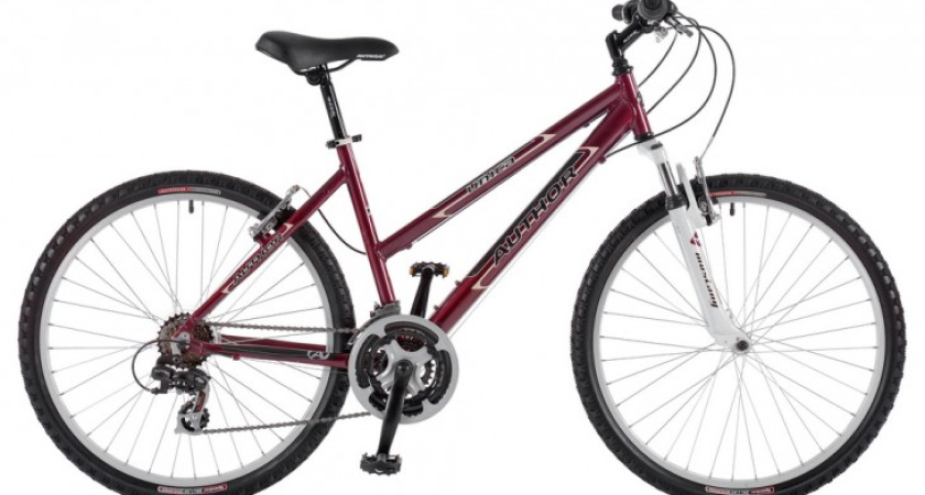 В Воронежской области задержан похититель велосипедов