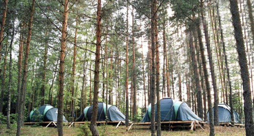Под Воронежем детский лагерь ночью закидали петардами