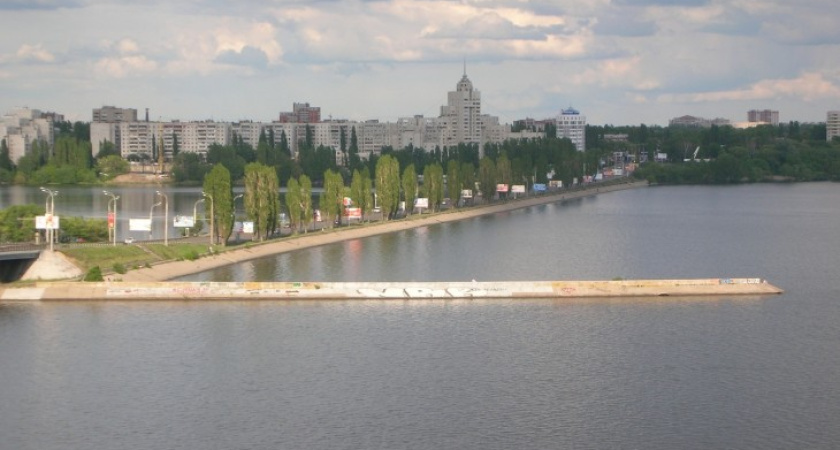 Следственный комитет установил, что убило женщину на Воронежском водохранилище