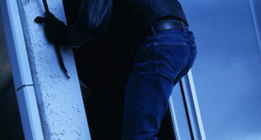 Под Воронежем полицейские несколько дней просидели в засаде в землянке, ожидая домушников